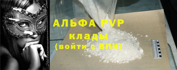 стаф Алексин