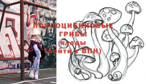 стаф Алексин