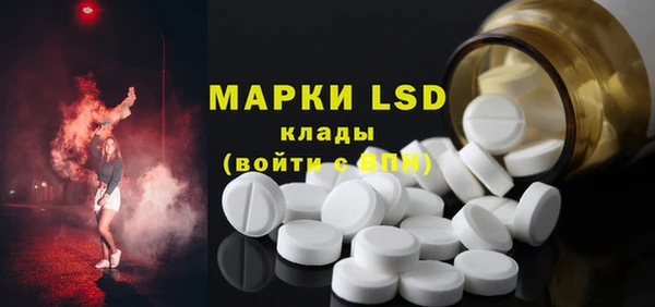 стаф Алексин