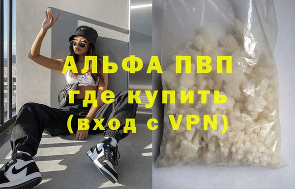 стаф Алексин