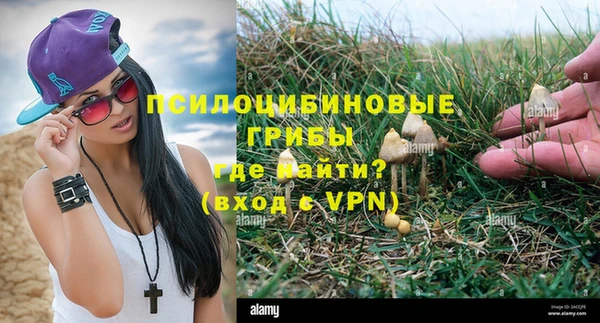 бошки Алексеевка