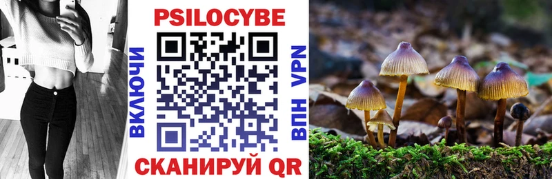 Псилоцибиновые грибы Psilocybe  Алупка 